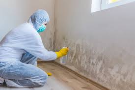 Best Forensic Mold Investigation  in Dryden, MI