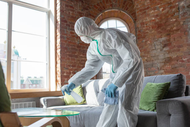 Best Environmental Consulting for Mold Prevention  in Dryden, MI