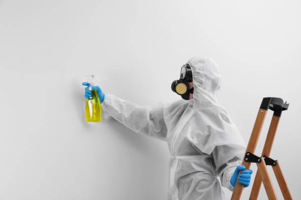 Mold Removal for HVAC Installations in Dryden, MI