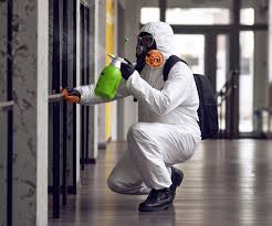 Best Black Mold Removal  in Dryden, MI